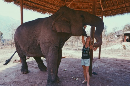 Get a new big friend