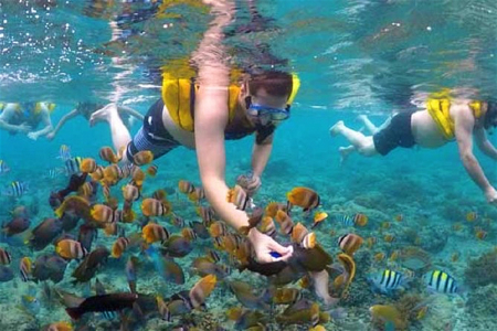 Coral Island Tourists Snorkeling2