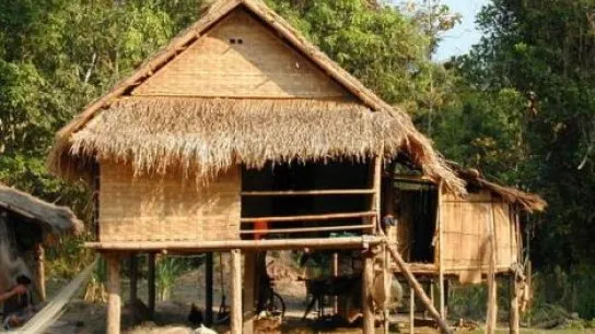 Thatched house