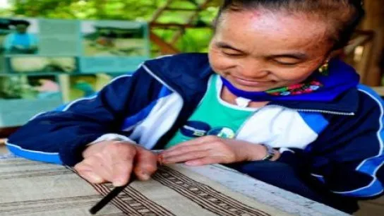 Silk weaving