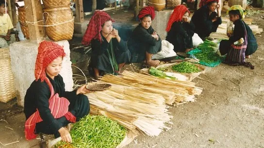 Pa O People In Indein