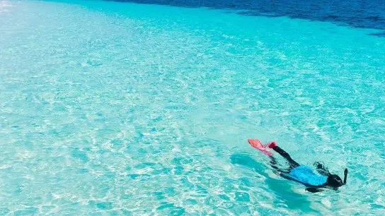Snorkeling