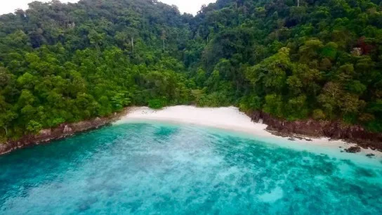 Wild Island