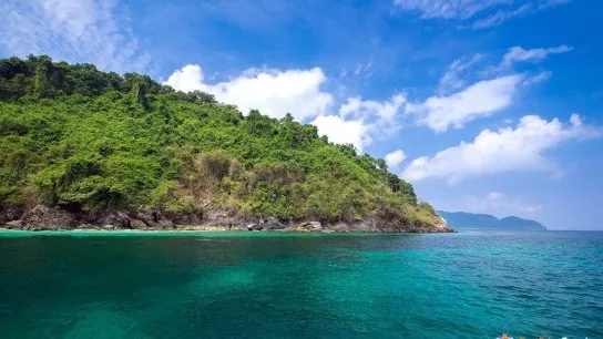 Wild island
