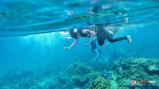 Snorkeling