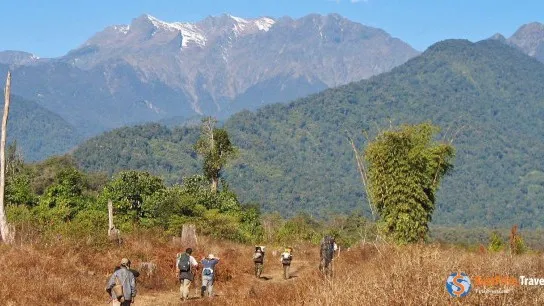 Putao