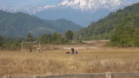 Putao