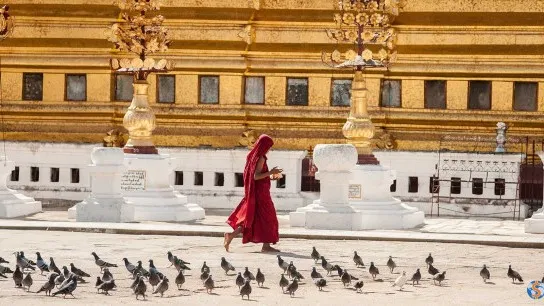 Yangon City