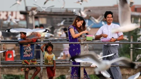 Feeding The Birds At Botahtaung Jetty