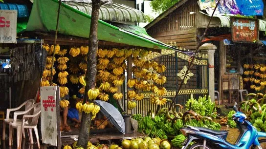 Kyauktan Banana Shop Roadside Coconut Myanmar(1)