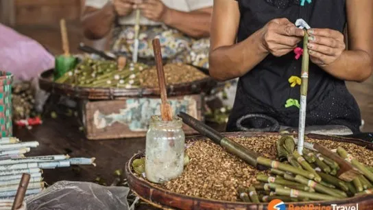 Hand Rolling Cheroots