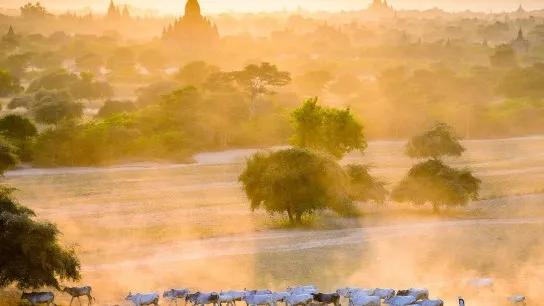 Bagan