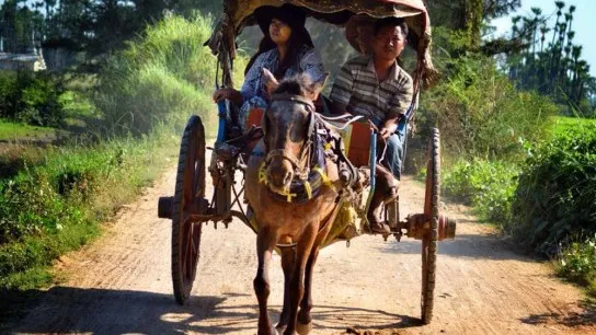 Horse cart