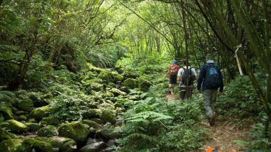 Sihanoukville Remote Jungle Trekking Full day