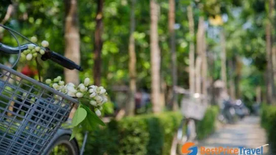 Thuy Bieu 1
