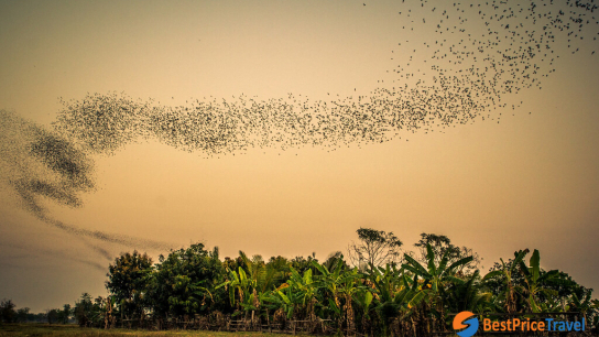 Bat Cave & Enjoy Sunset half day