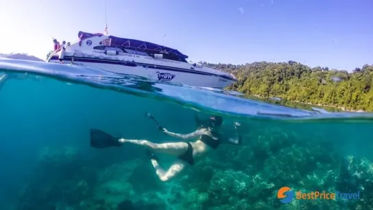 Surin Island Tour