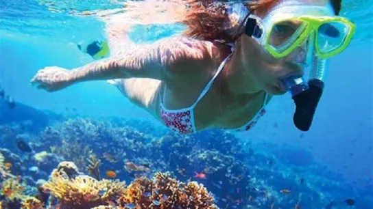 KohTan Snorkerling