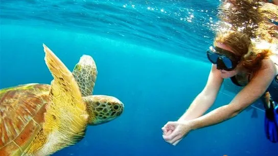 Surin Islands