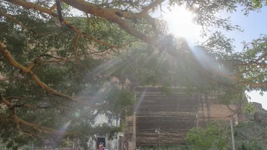 Mingun (2)