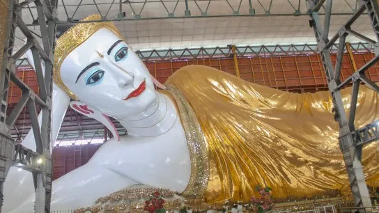 Reclining Budha (5)
