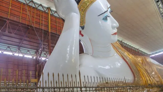 Reclining Budha (8)