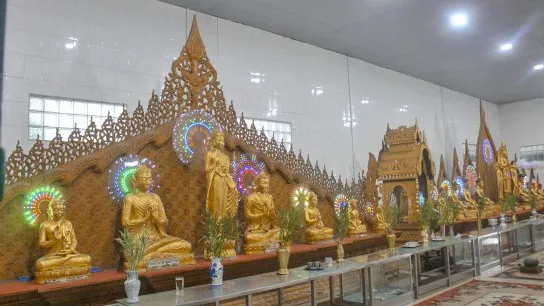Reclining Budha (9)
