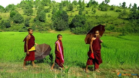 Kalaw trekking