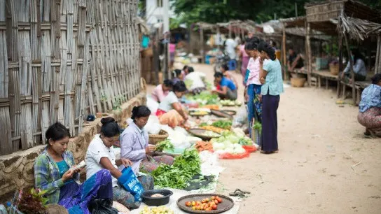 Bagan Village