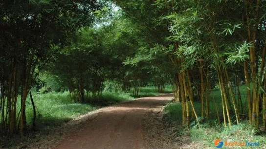 Pha Tad Ke Botanical Garden