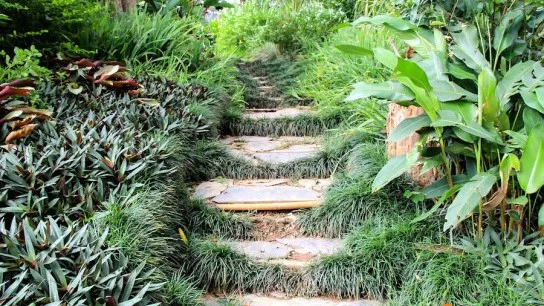 Pha Tad Ke Botanical Garden