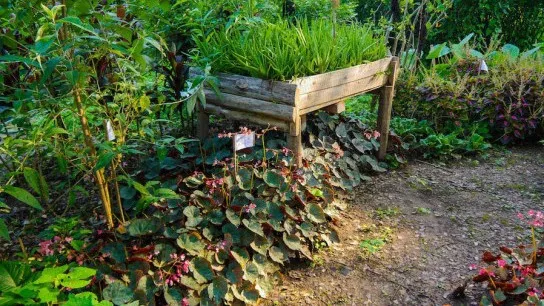 Pha Tad Ke Botanical Garden