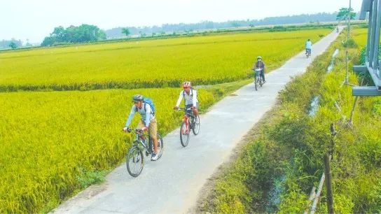 Enjoy Fresh Air While Cycling