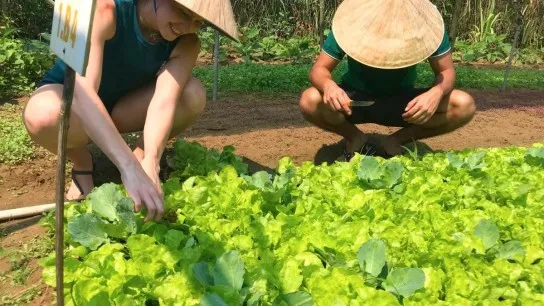 Visitors Feeling Cheerful Doing Some Garden Work