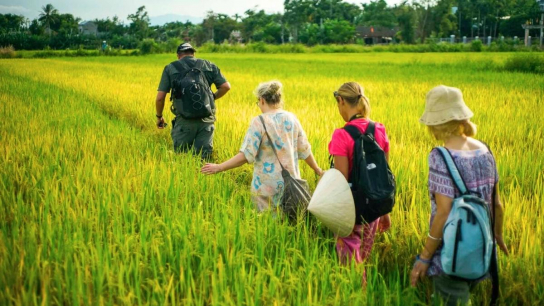 Private Tour - Tra Que Vegetable Village Half-day