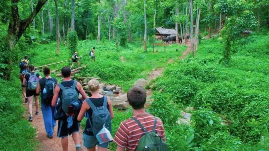 Cuc Phuong National Park Full Day