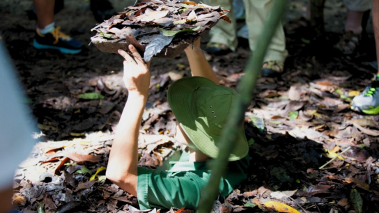 Cu Chi Tunnels Half Day - Small Group