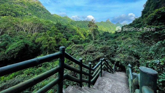 Indochine Cruise Lan Ha 3 Days 2 Nights