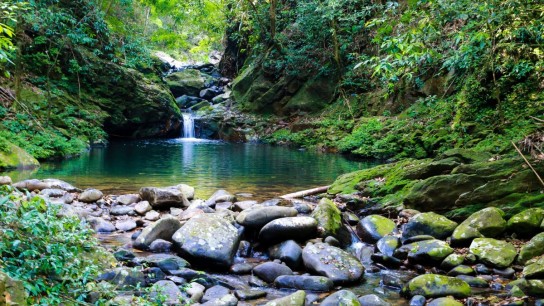 Discover Bach Ma National Park & Lang Co beach Full day