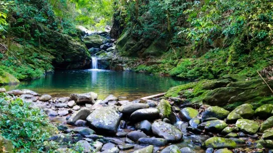 Discover Bach Ma National Park & Lang Co Beach Full Day