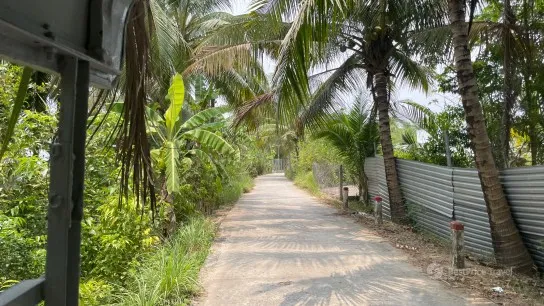 Peaceful village life