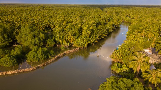 Ben Tre - Ba Lai Legend River Full Day