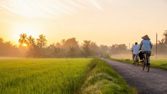 Stunning view of Mekong Delta