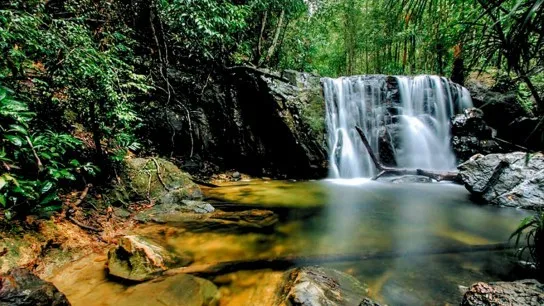 Immerse In The Peaceful Atmosphere Of National Park