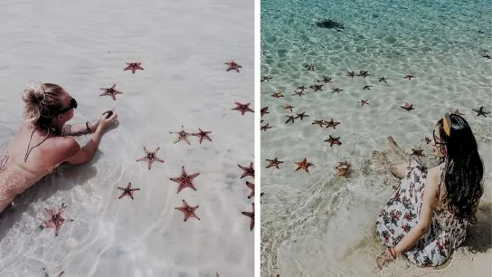 Take Photos With Starfish On The Crystal Clear Water