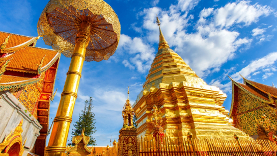 Chiang Mai City Temples and Doi Suthep half day