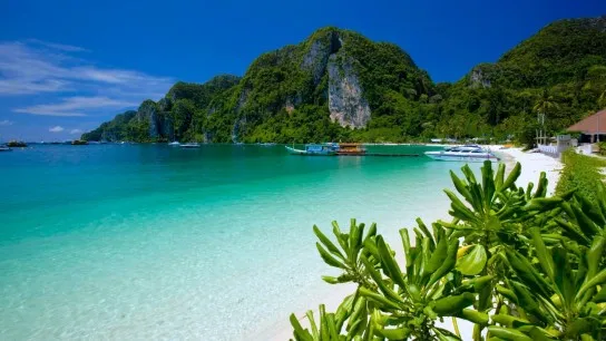 Day 3 Phi Phi Don Island