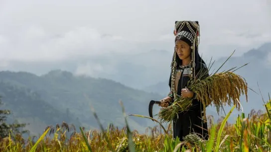 Day 6 Phongsaly An Untouched World Of Ethnic Diversity