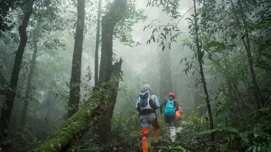 Day 4 Trekking A Must Do Activities