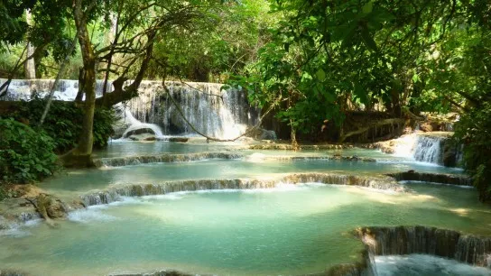 Day 3 Dive In The Clear Water Of Kuang Si Waterfall